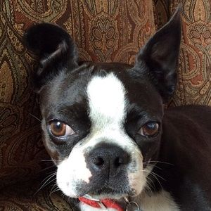 Meet your Posher, Amy